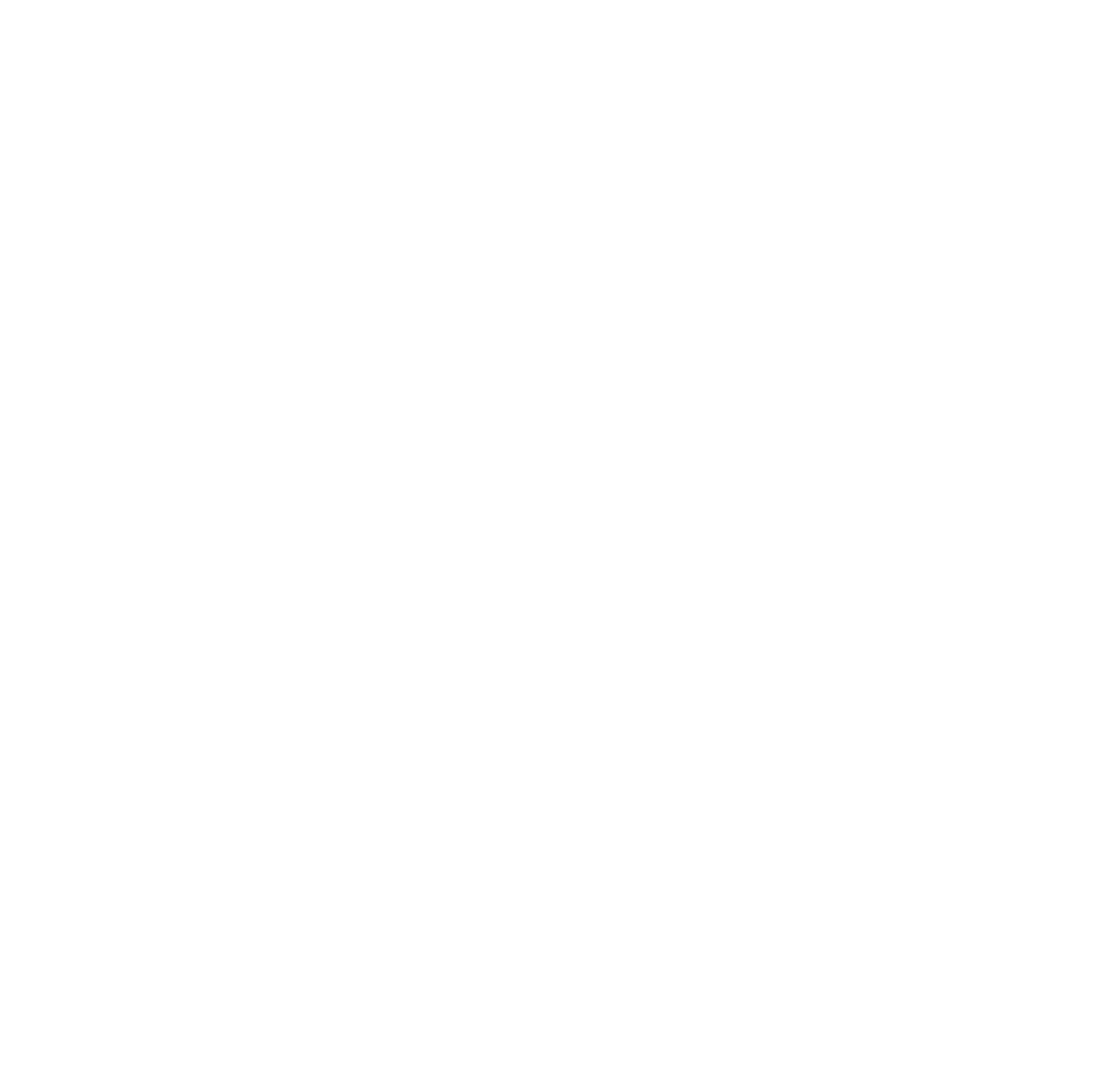 Trabajo Remoto Seguro