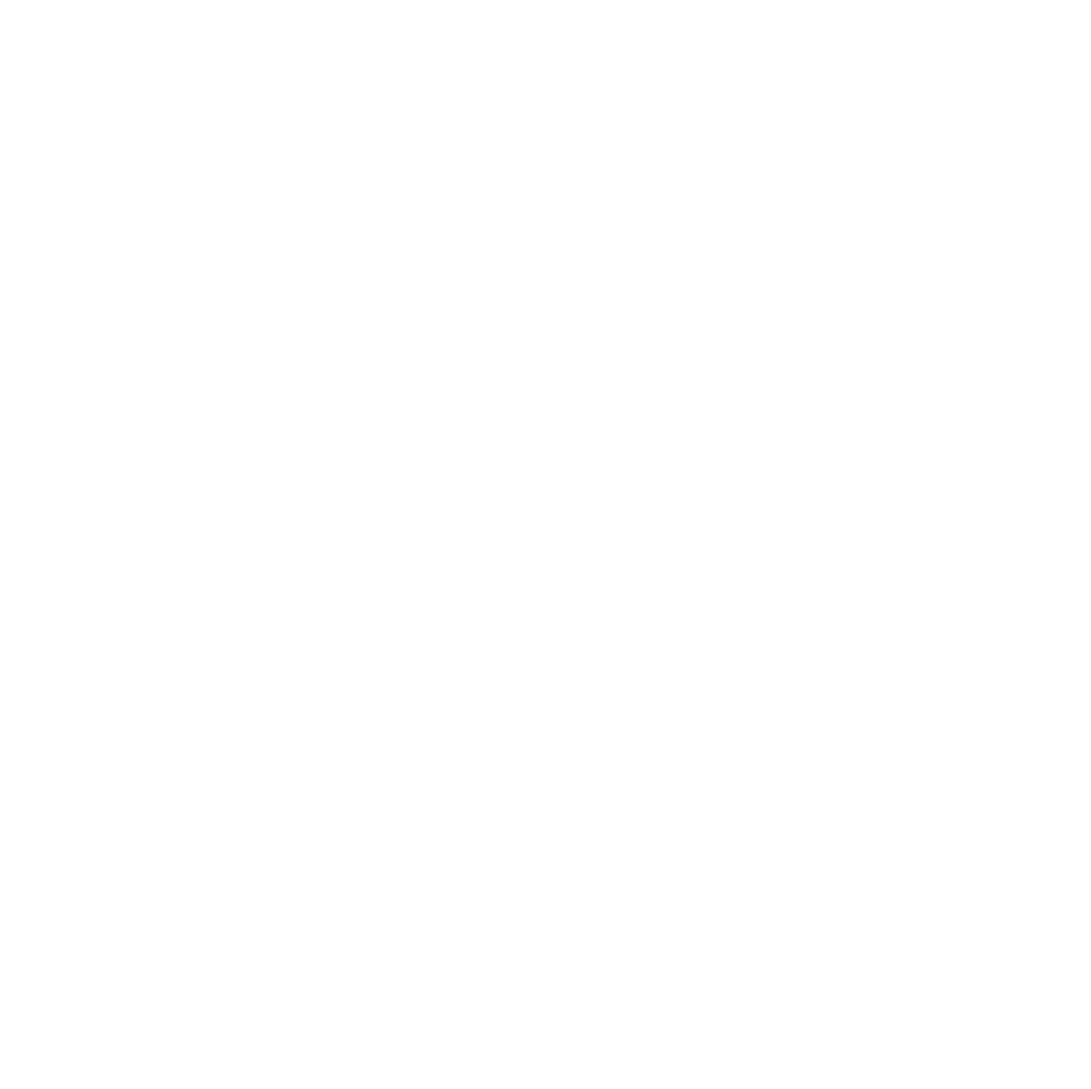 Network Security